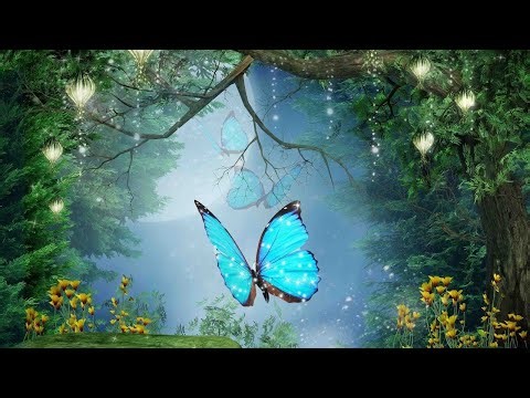 Peaceful Music, Relaxing Music, Instrumental Music Enchanted Forest by Tim Janis