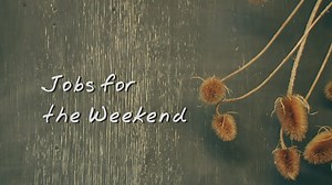 42K views · 1.5K reactions | BBC Gardeners World on Reels | Facebook