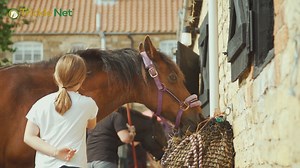 Here's a fab little snap shot film. Ellen the founder of Trickle Net, talks about what it means to get such incredible customer feedback. It's for the love of the horse, both ours and yours. ❤️ | Trickle Net | Facebook