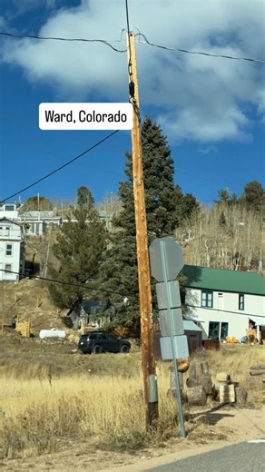 358 reactions · 15 shares | We love small mountain towns, and Ward,...