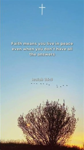 When you don't have all the answers..🕊✝️ #faith #peaceofmind #isaiah263