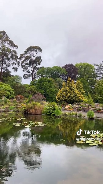 Exploring Nostalgia with Old Digital Cameras