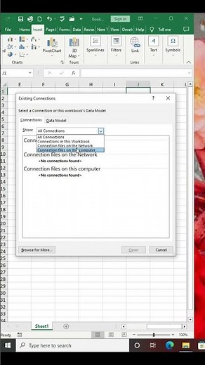 How to use existing connections in MS Excel