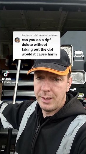 Can you do a DPF delete without removing the DPF ?