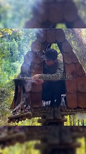 9K views · 181 reactions | Have you ever lived in a shelter built on a tree #bushcraft #build #camp #camping #survival #shelter #Outdoors #outdoor #viralvideo #fyp #construction #wildlife #shorts | alexbushcraft.life | Facebook