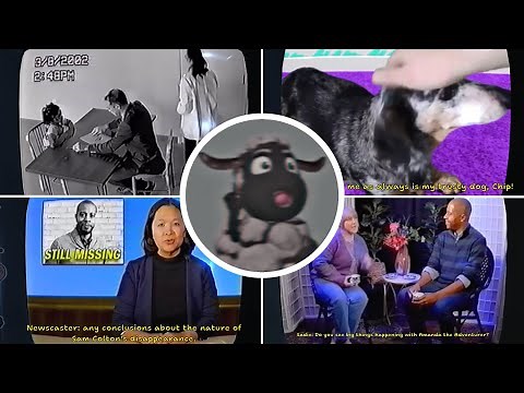 Amanda the Adventurer - ALL 6 Secret Tapes (Locations & Showcase) 4K