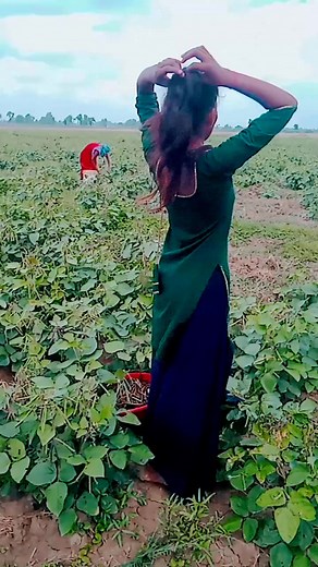 pooja dancer #fbreelsfypシ゚viralfbreelsfypシ゚viral | pooja dancer