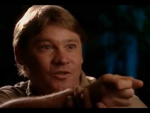 The Crocodile Hunter:Steve's Story (1/8)