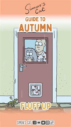 Happy Autumn! 🍂☕😽 | Simon's Cat