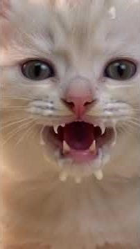 "وقت الحليب" 🍼