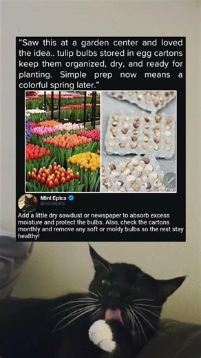 Planning Colorful Days Ahead