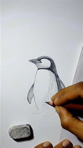 Cute Baby Penguin Pencil Sketch 🐧❄️ #shorts #drawing #art #sketchlyumesh