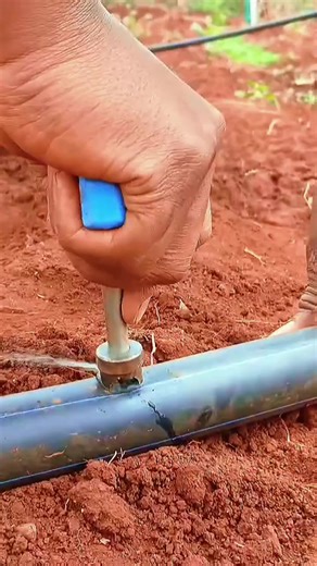 Drip irrigation set up