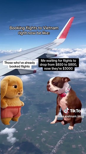Navigating Flight Costs to Vietnam: Tips & Insights
