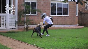 556 reactions · 103 shares | Meet Ken. He is a dog. And he is furious...