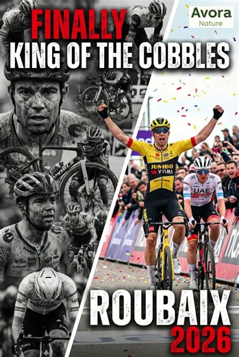 Wout van Aert Wins Paris–Roubaix 2026 🧱🔥