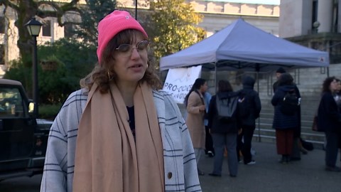 Pro-choice advocates rally in Washington, push for reproductive rights bill