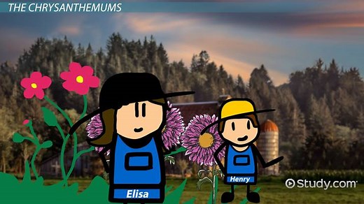 The Chrysanthemums by John Steinbeck | Symbolism & Analysis