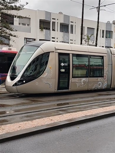#tram #rabat #الرباط‎ #maroc #maroc🇲🇦 marruecos marruecos🇲🇦 morocco morocco🇲🇦 المغرب‎ المغرب‎🇲🇦