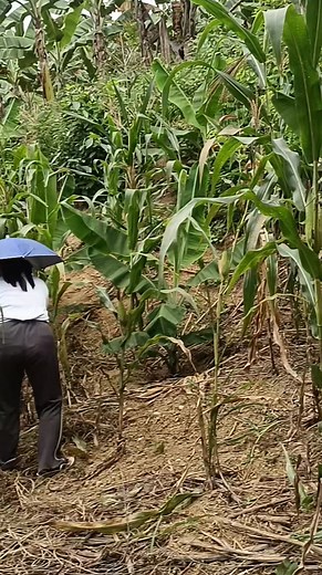 Chanel Montecod on Reels