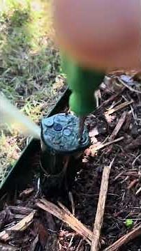 Adjusting a Rainbird Rotor #irrigationsystem #irrigationtech #rainbird