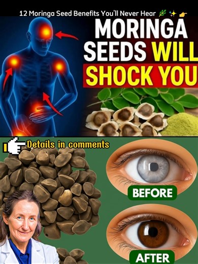 12 Moringa Seed Benefits You’ll Never Hear from Your Doctor (But You Should Know) 🌿✨👉 | Health Made Simple