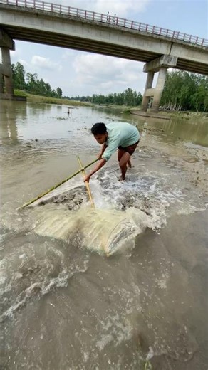 River Net Fishing Compilation #villagepond #fish #farming