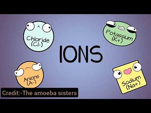 Nervous system animated|| credit:- The amoeba sisters || please subscribe for more