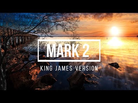 The Gospel of Mark – Chapter 2 | Narrated Bible Audio for Meditation, Reflection & Spiritual Growth