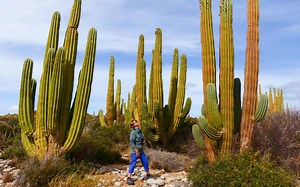 Best Time To Visit Baja