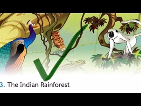 Me completing level 13 on lexia.