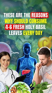 These are the reasons why you should Consume 4-6 fresh holy basil leaves every day‼ Holy basil, also known as Tulsi, is more than just a herb—it's a revered powerhouse of health benefits celebrated in traditional medicine for centuries. Consuming 4-6 fresh holy basil leaves every day can work wonders for your body and mind. Incorporate this "queen of herbs" into your daily routine—chew it fresh, brew it as tea, or add it to your meals—and experience a natural, holistic boost to your well-being. 