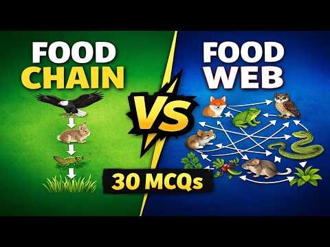 Food Chain MCQs for Competitive Exams | SSC CGL BPSC Railway NEET Biology