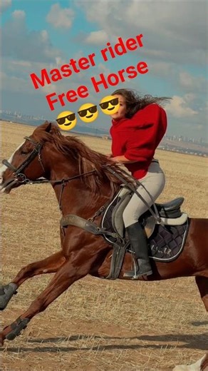 A beautiful horse running freely — master rider in control #horseriding