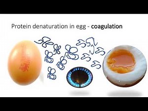 Food science in action