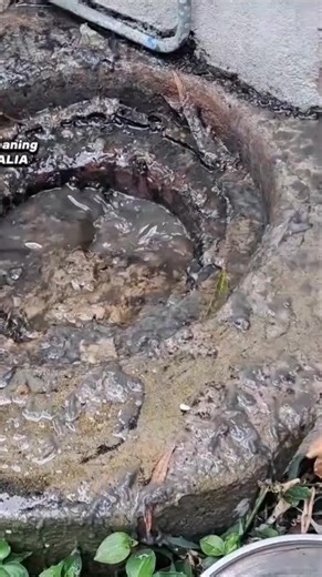 A MESSY Blocked Drain! | Drain Cleaning Australia