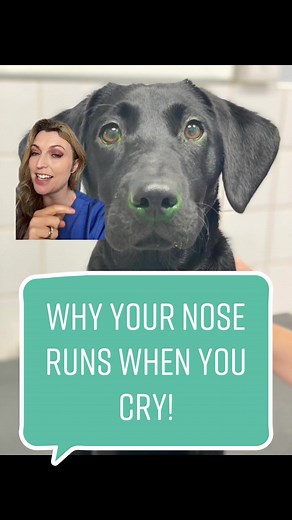 Understanding Why Your Nose Runs When You Cry