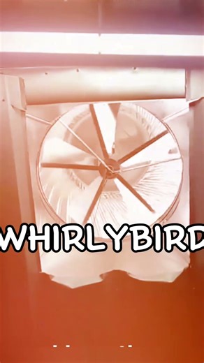 "Whirlybirds: Nature's Spin Masters! 🌪️