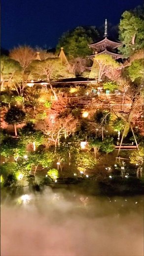 雲海(ホテル椿山荘東京庭園)✨️Sea of clouds(Hotel Chinzanso Tokyo Garden)