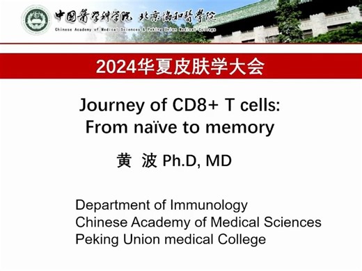 CD8 T细胞 从初始到记忆