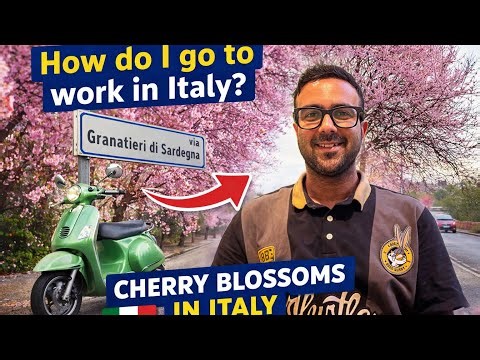 How Do I Go to Work in Italy? 🇮🇹 | Life in Italy + Cherry Blossoms 🌸