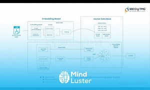 Mind Luster - Learn Vector Database Intro 360DigiTMG