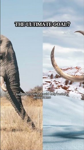 Scientists want to bring mammoths back 🦣 #Genetics #FutureTech #Science
