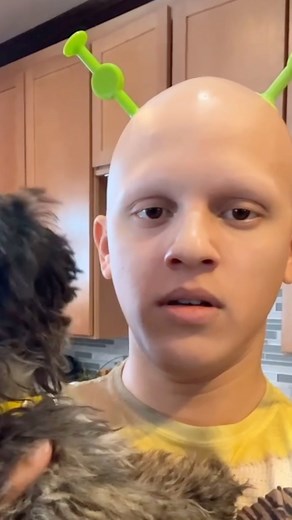 Shrek ends Mila’s career #comedy #funny #dog #shrek #dogs | Xtheromanempire