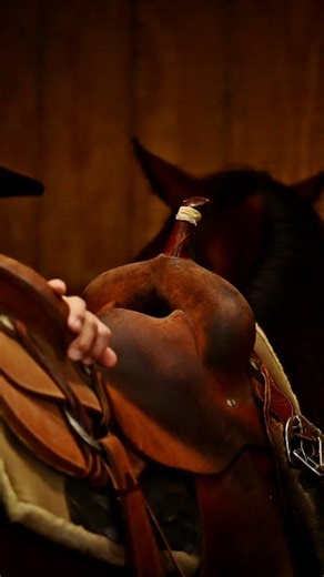 Quality matters. That's why we look to The Saddle House for all our western equipment - bits, spurs, leather goods, and especially saddles. 📸 Calico & Chrome Creative Ag-Gear (code JPH15) Saguaro Show Pads Salt of the Earth Custom Leather Kendall's Western Hats | Jennings Performance Horses