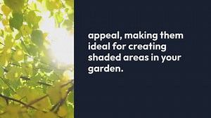 Pergolas For Shade Gardens