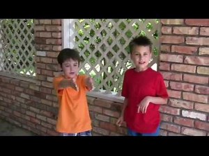 Action Verbs and Linking Verbs