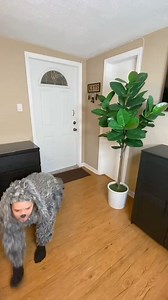 178K views · 1K reactions | When you don’t take your dog outside to pee   #funny | Yoeslan | Facebook