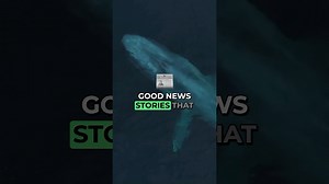 I found the good news stories you missed! 😊