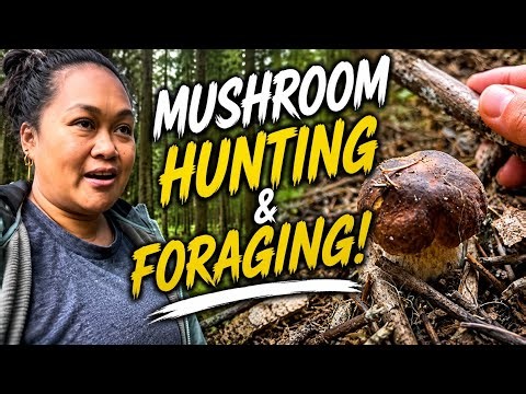 DAY 3 of 30 MUSHROOM HUNTING AND FORAGING FOOD SHORT VLOG